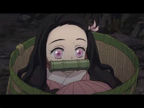 cute nezuko|8 Minutes of Nezuko being Adorable .